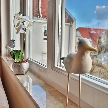 Residenz Seeschwalbe Residenz Seeschwalbe 3 Daire *